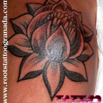 tatuaje flor de loto hombro chica